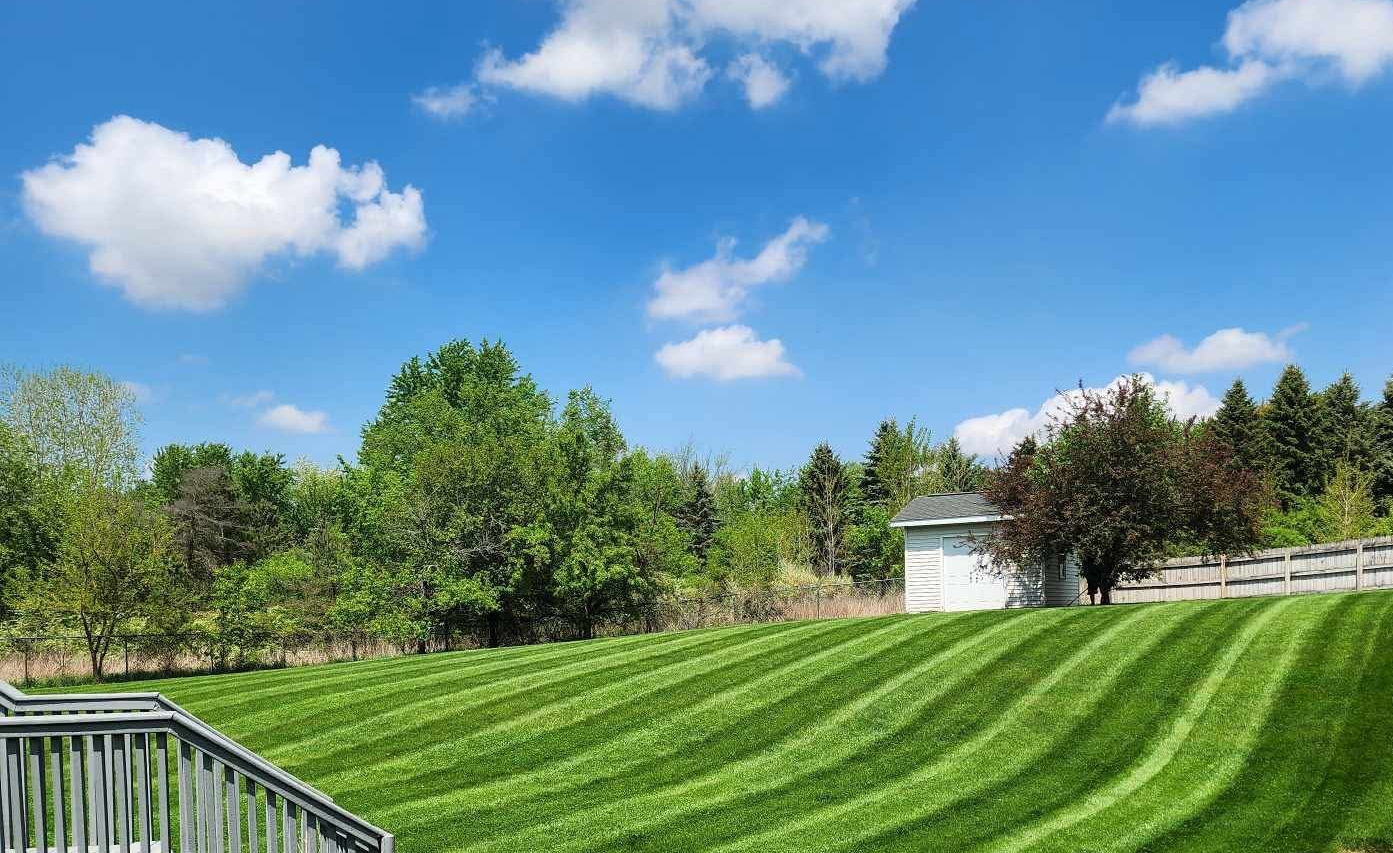Professional lawn maintenance